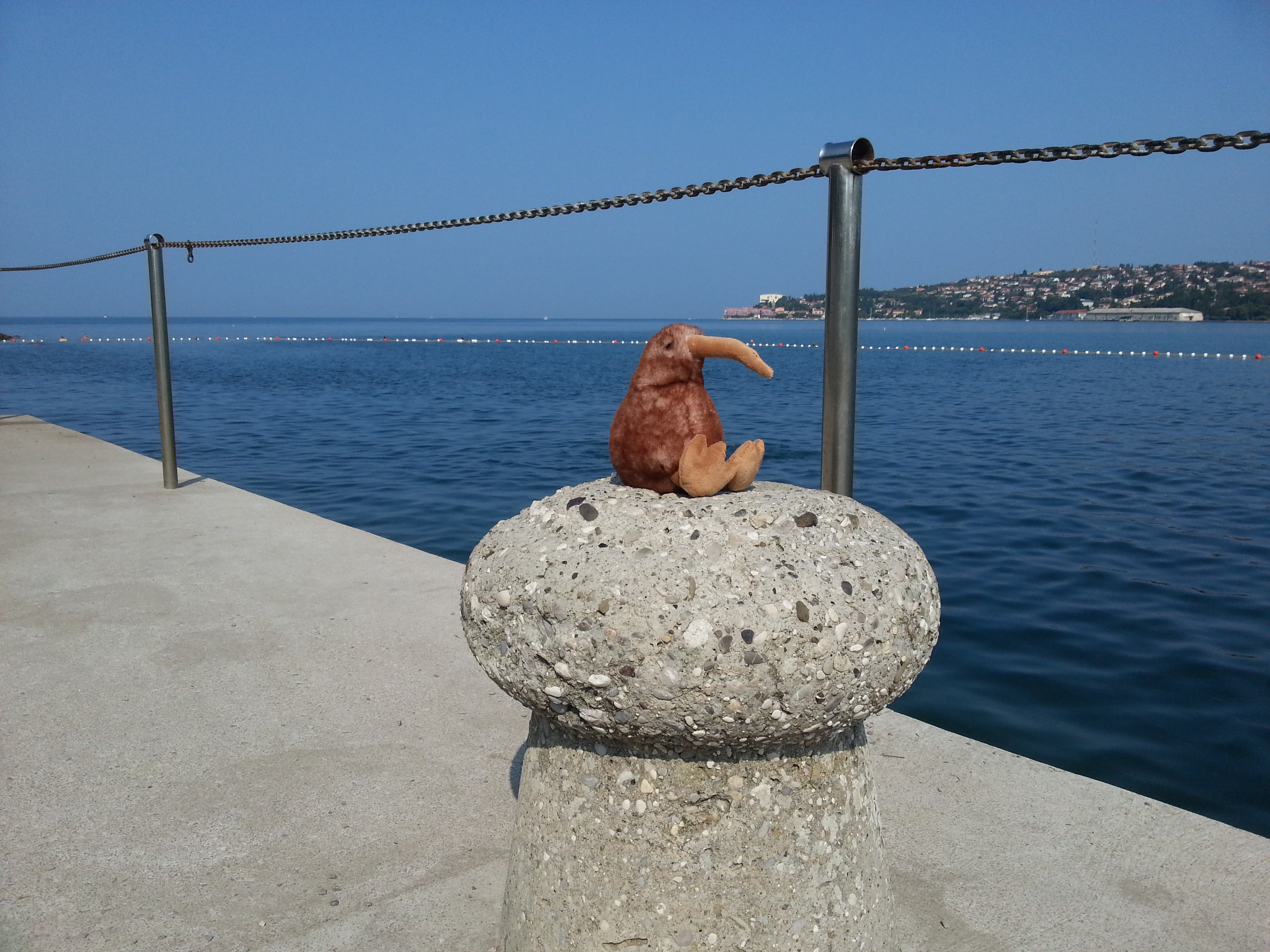 20190826_102930.jpg