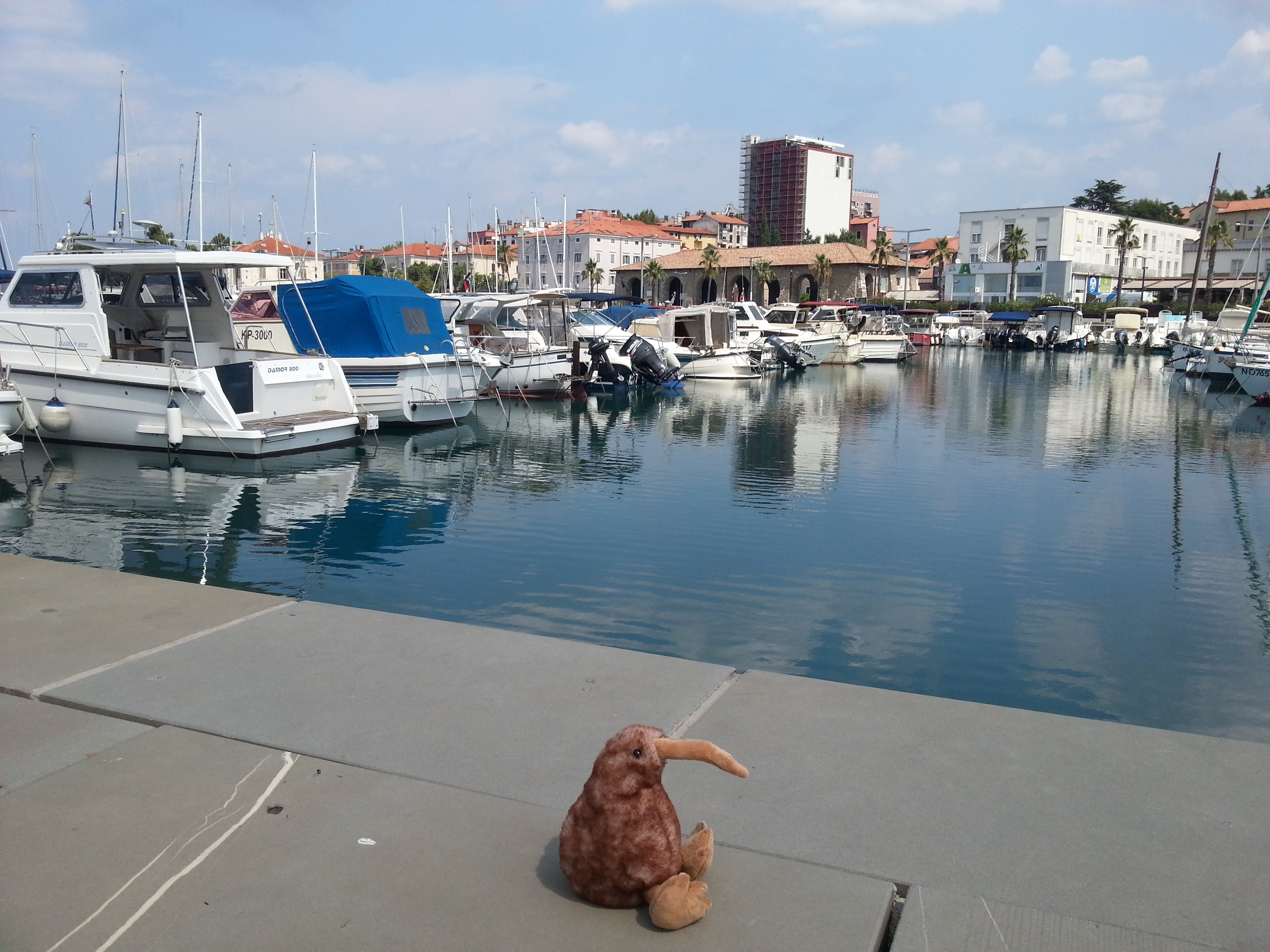 20190826_125934.jpg
