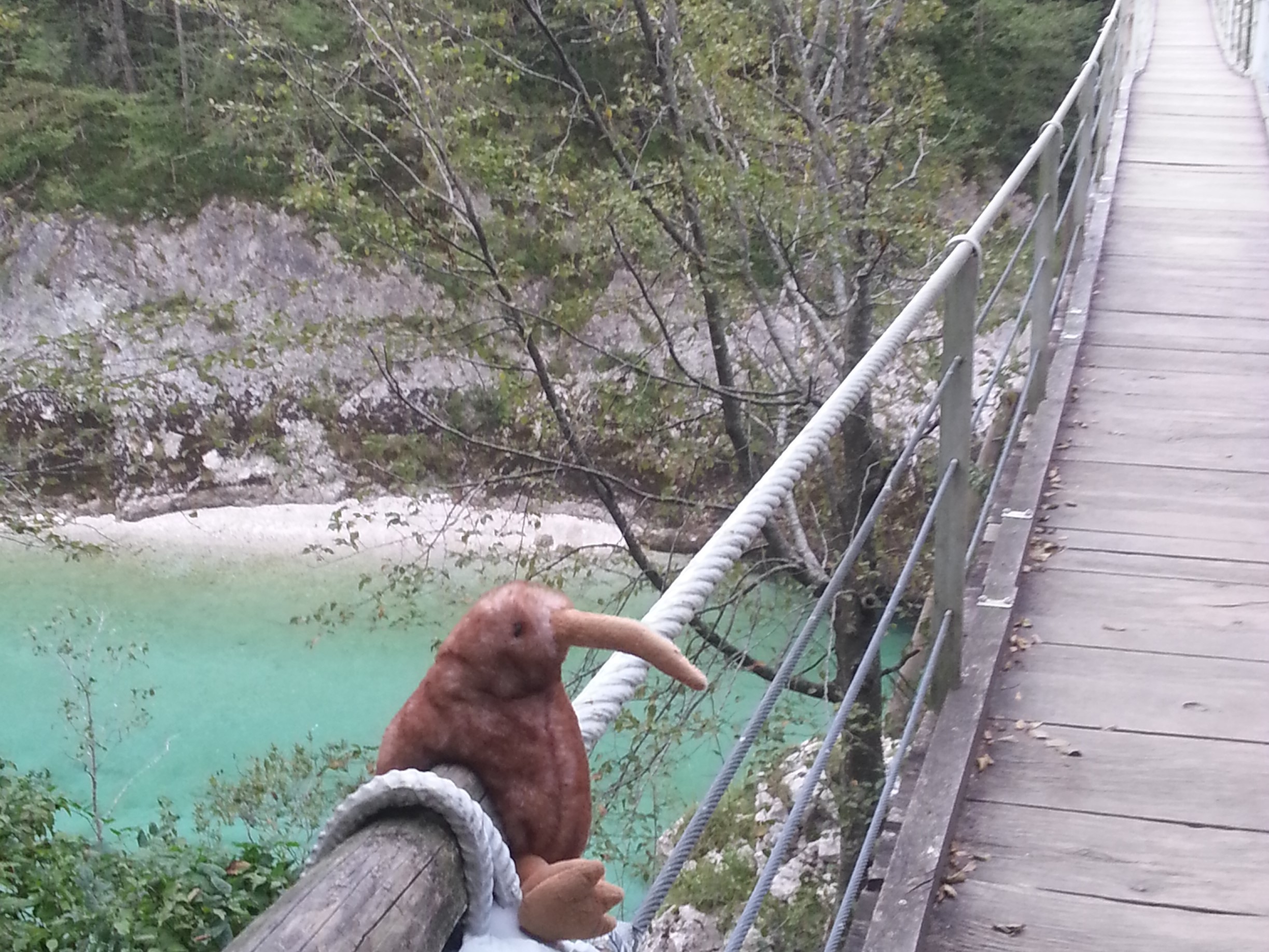 20190826_182348_bearbeitet.jpg