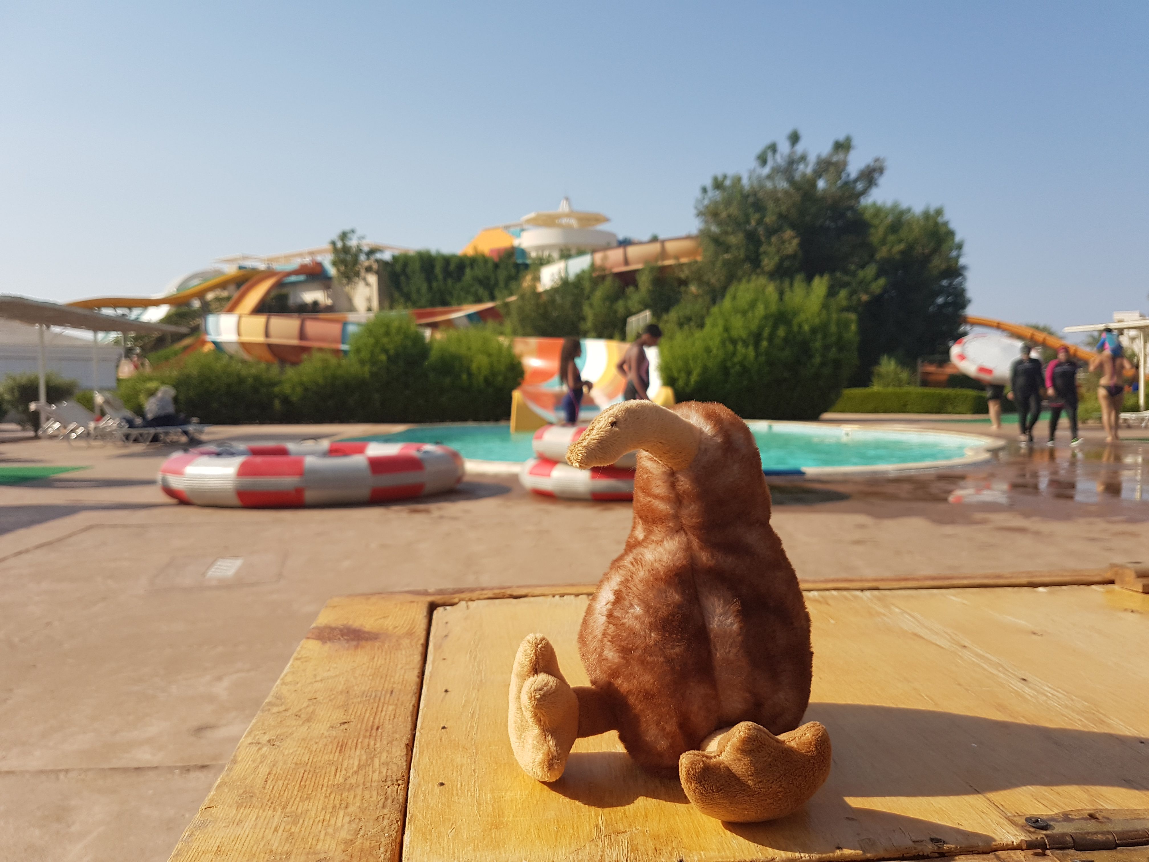 2019_gypten_0116.jpg
