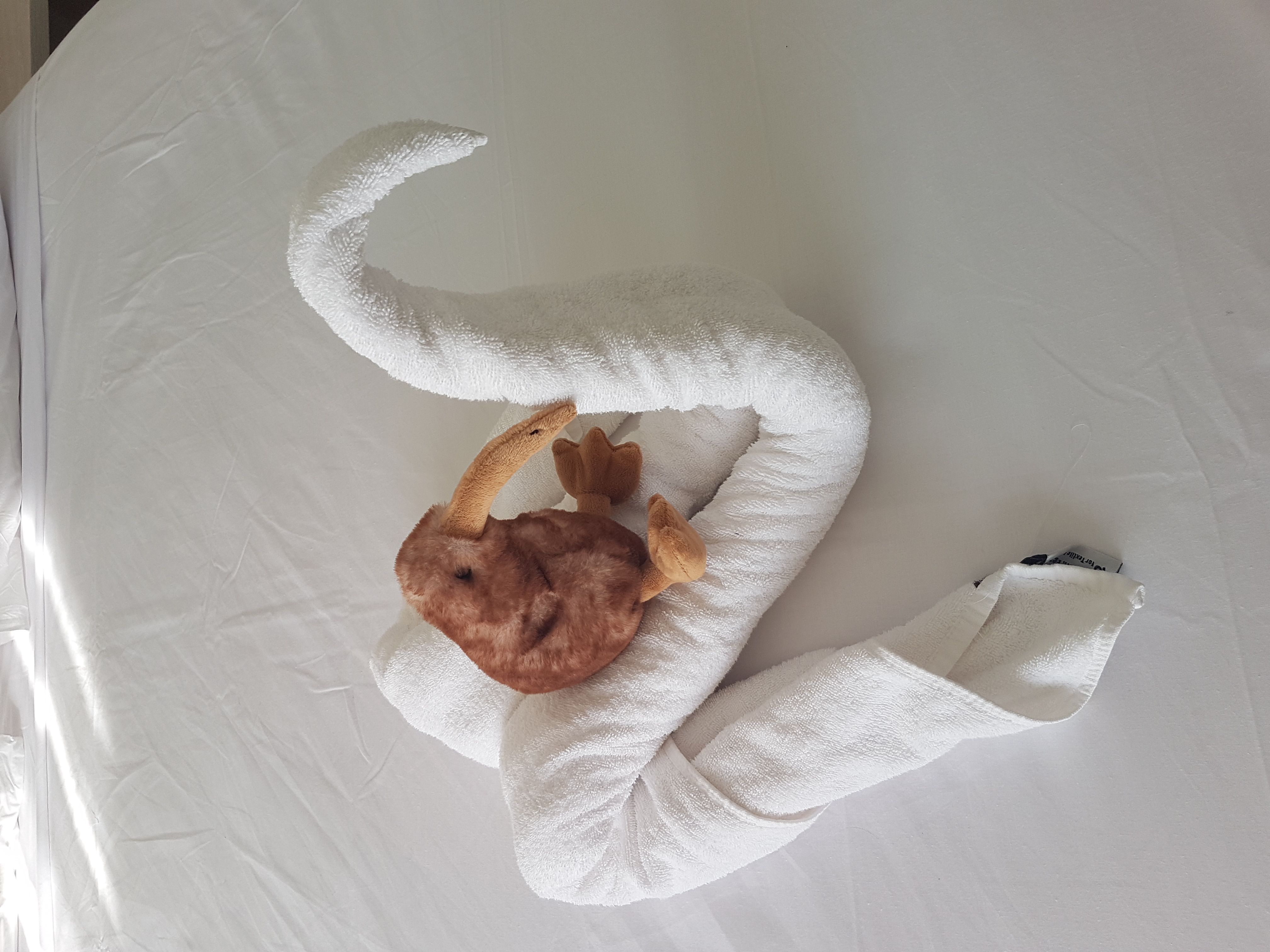 2019_gypten_0144_6d73f6f6.jpg