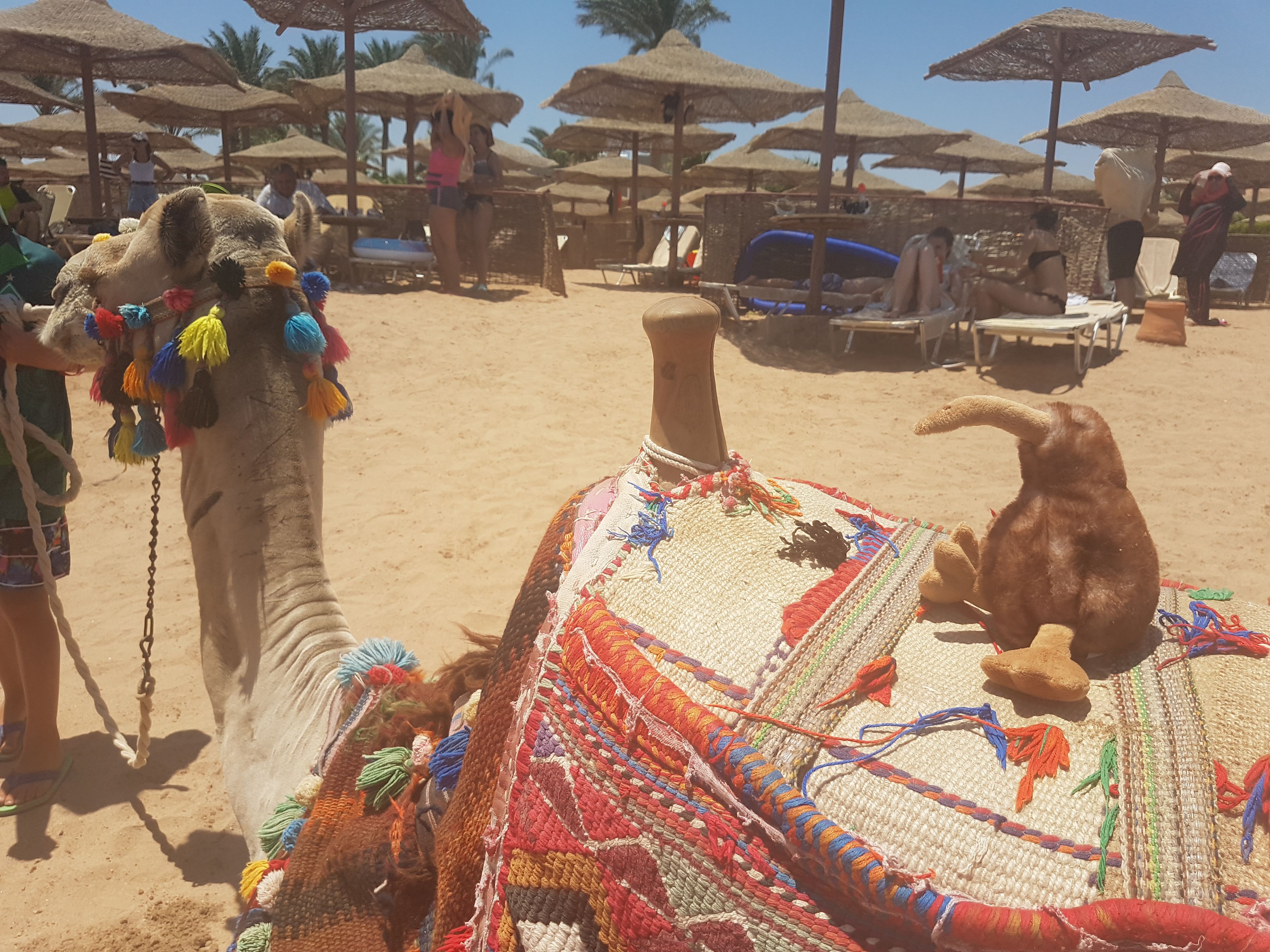 2019_gypten_0208_8507ddf8.jpg