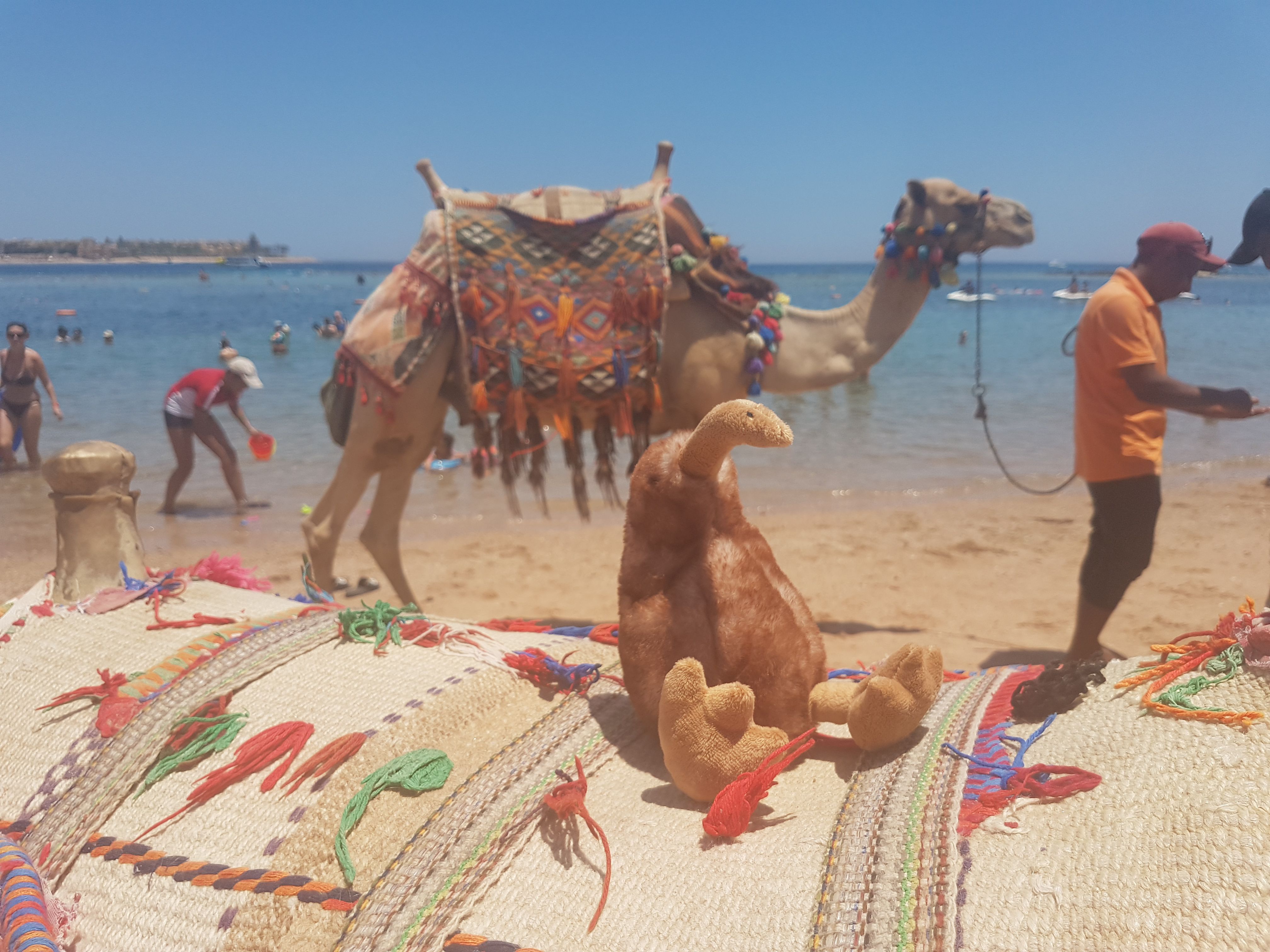 2019_gypten_0209_dacbcc87.jpg